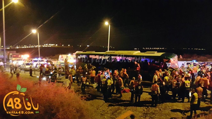 Accjs latroona (7).jpg